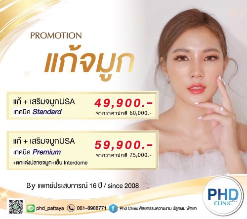 โปรแก้จมูก